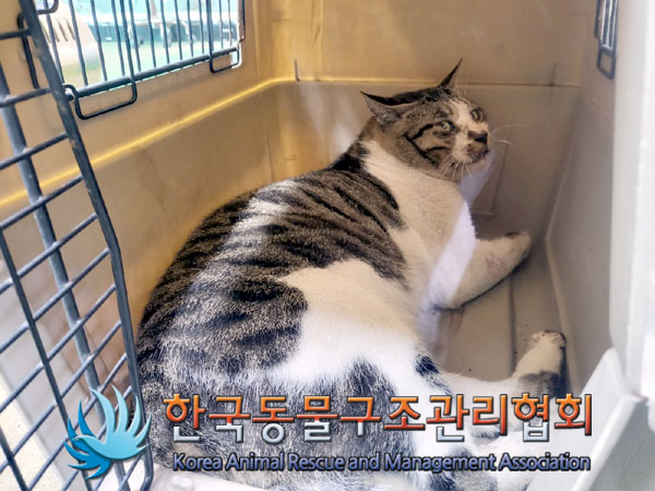 한국동물구조관리협회_411303202300478